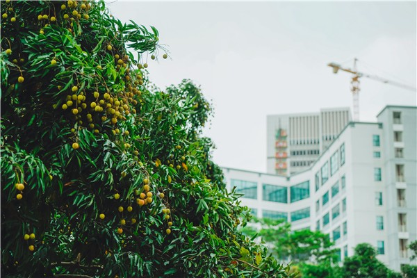 1528099155490000922.jpg 百家乐玩法介绍 - 百家乐技巧