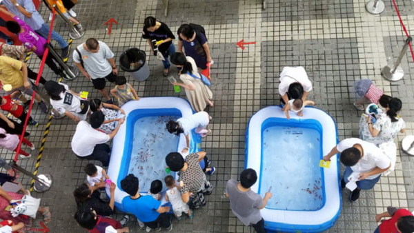 百家乐玩法介绍 - 百家乐技巧