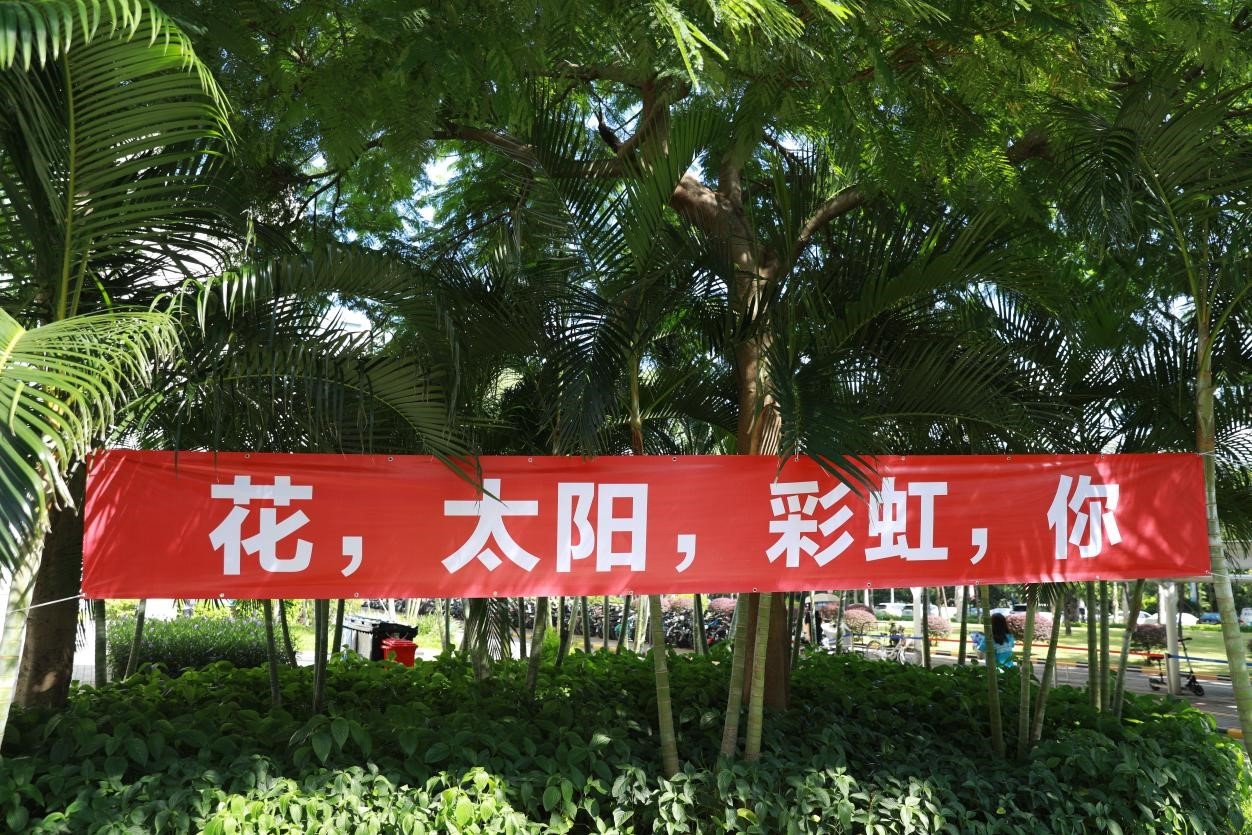 百家乐玩法介绍 - 百家乐技巧