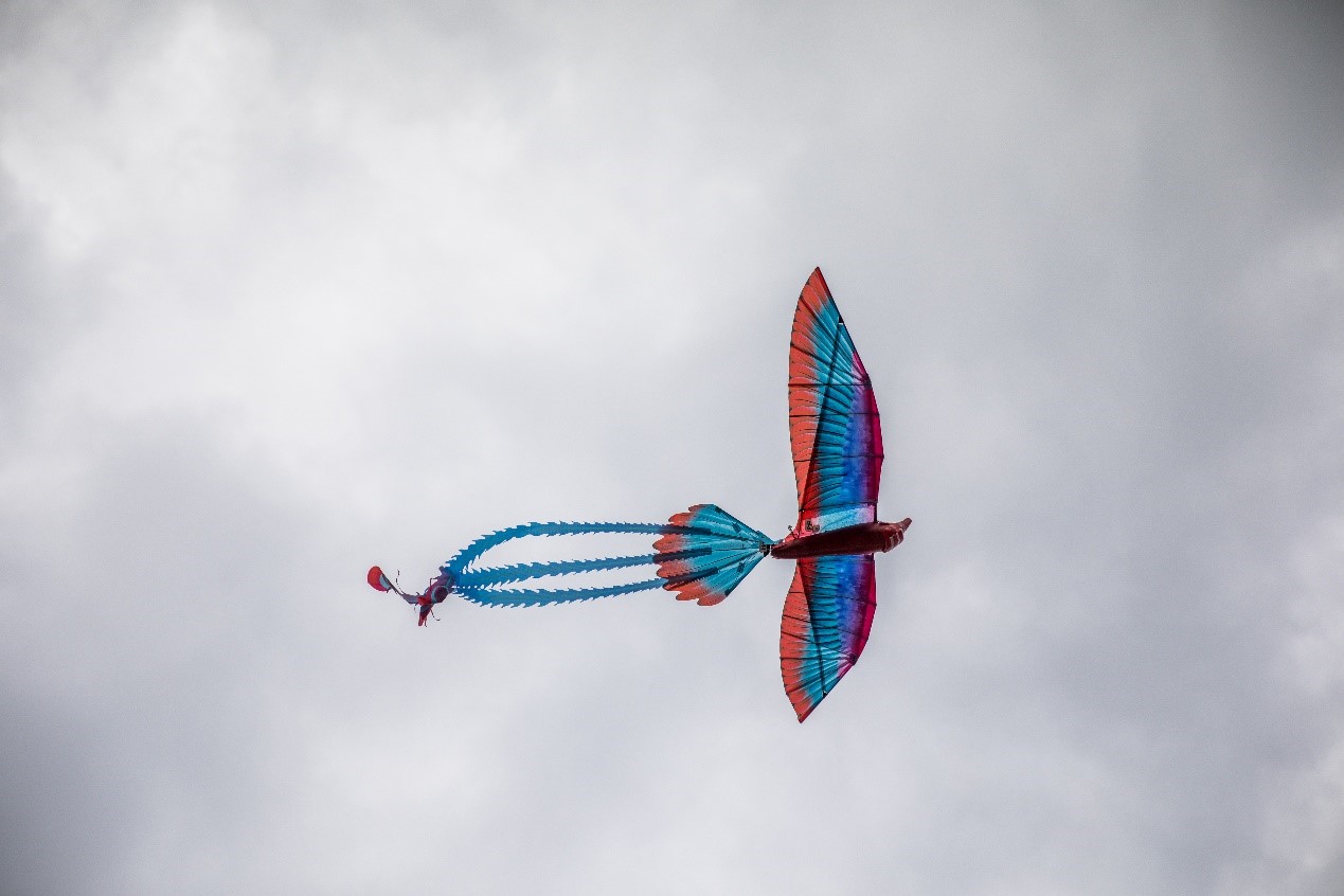 百家乐玩法介绍 - 百家乐技巧