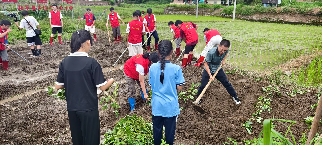 1723635750860098636.png 百家乐玩法介绍 - 百家乐技巧