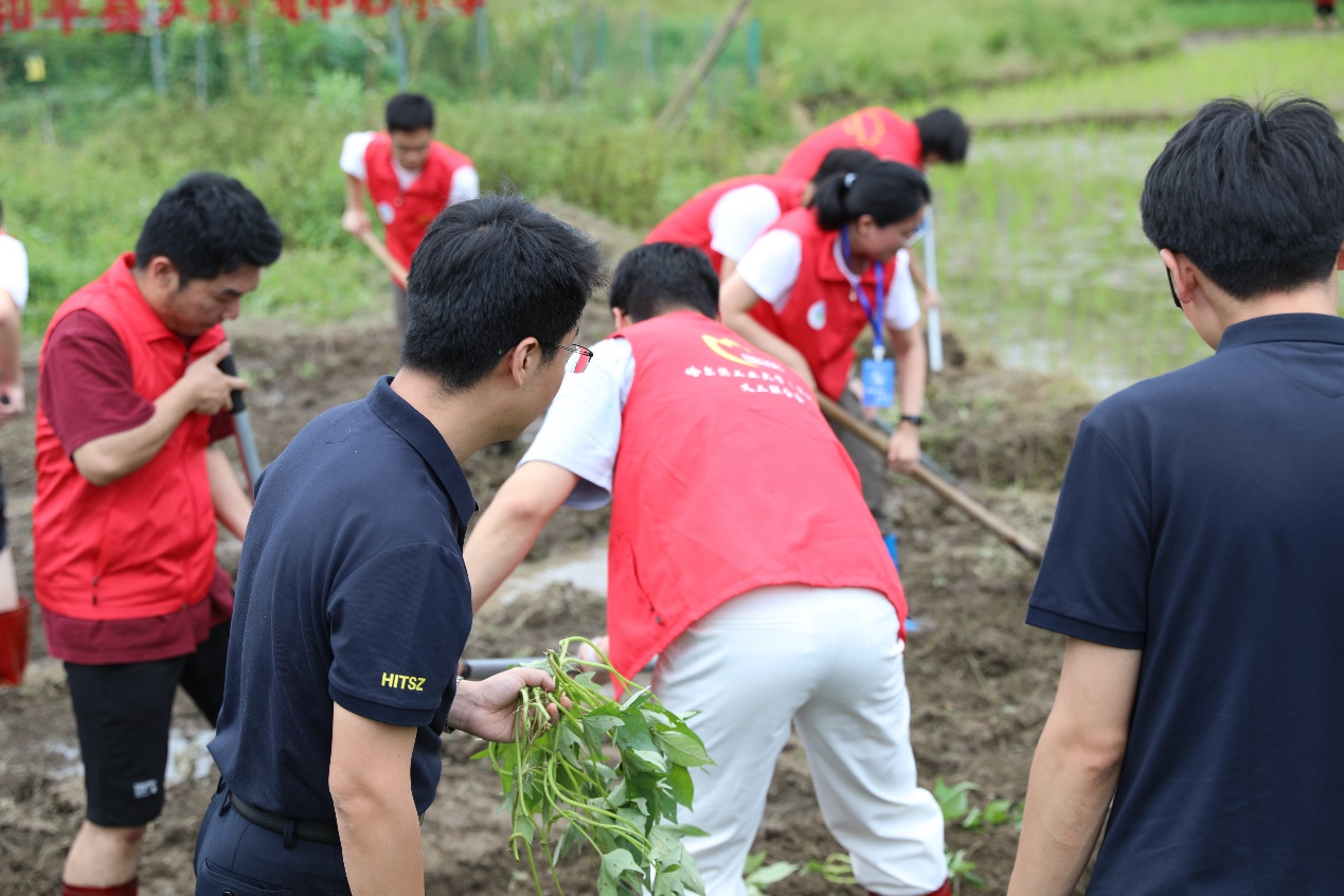 1723635867641022738.png 百家乐玩法介绍 - 百家乐技巧