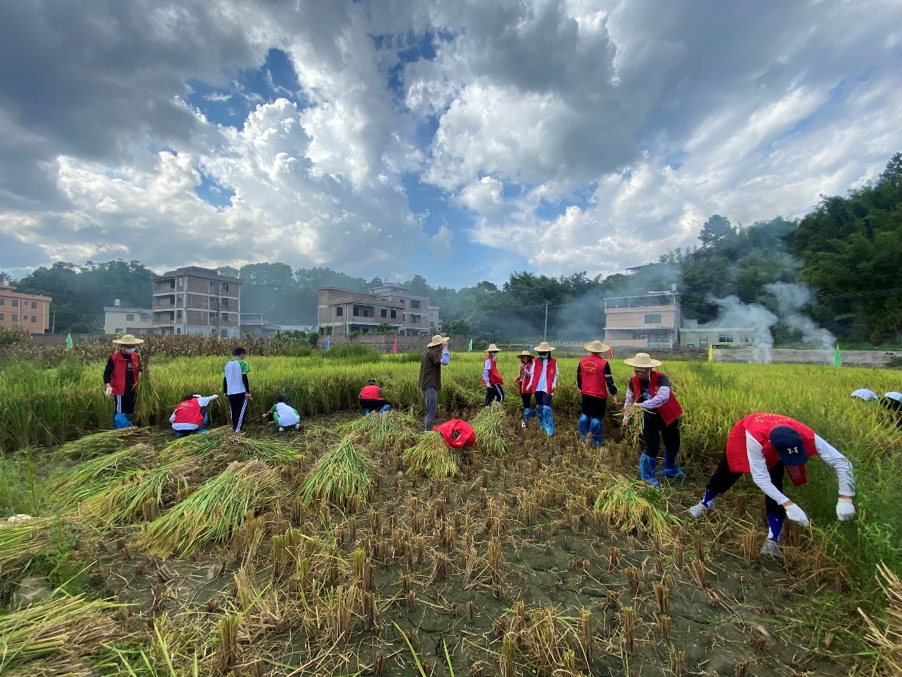 百家乐玩法介绍 - 百家乐技巧