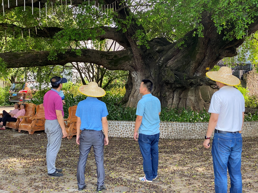 百家乐玩法介绍 - 百家乐技巧