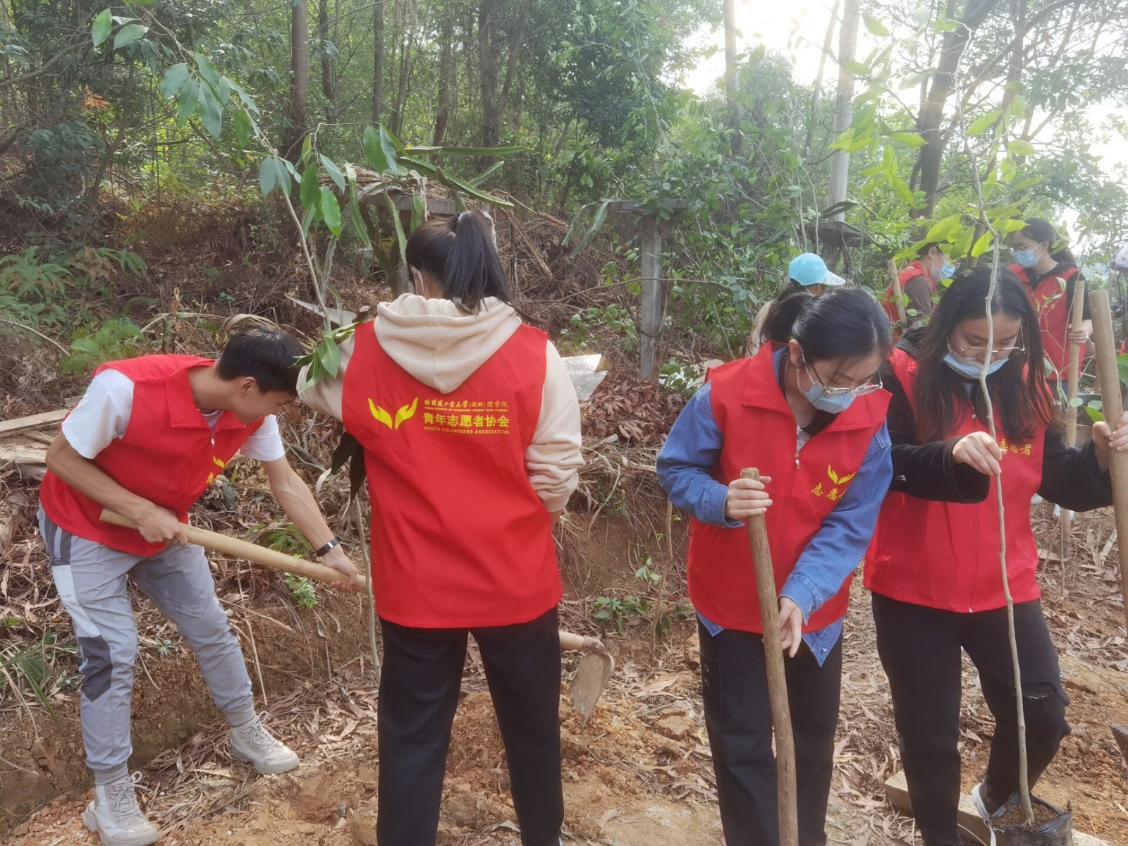 百家乐玩法介绍 - 百家乐技巧