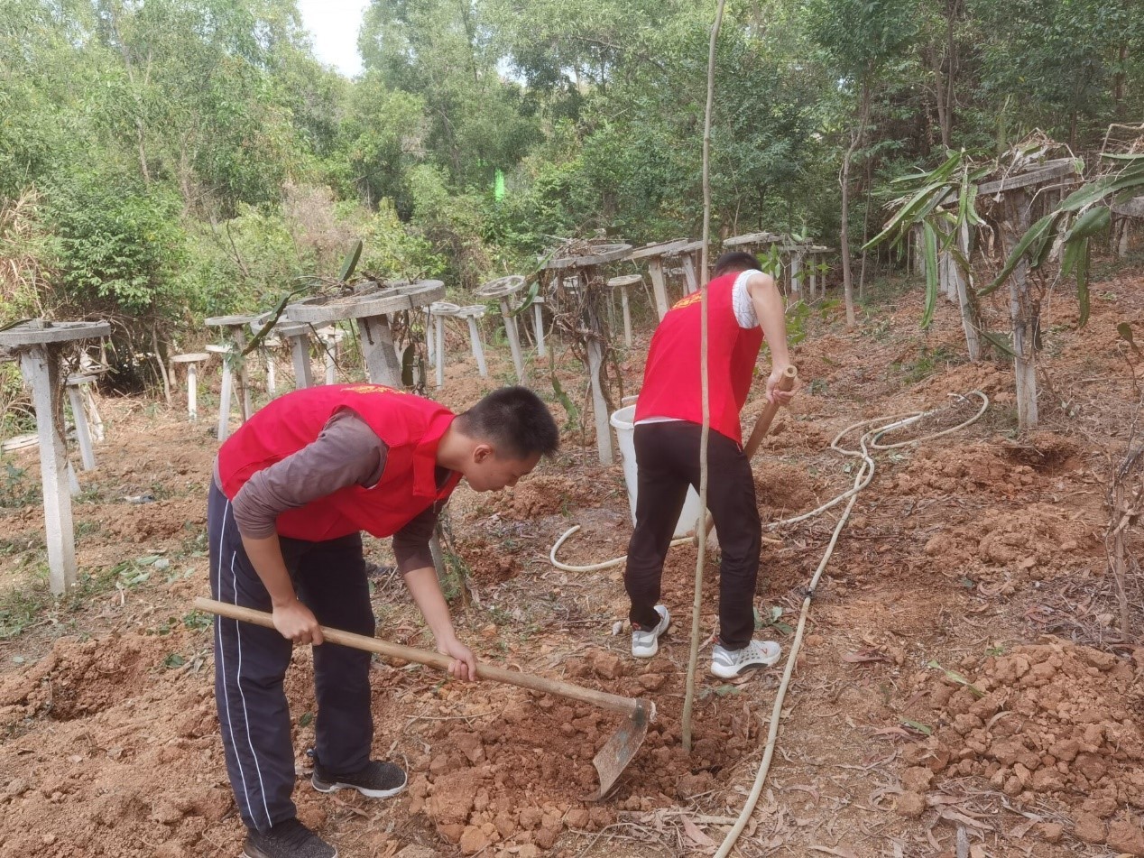 百家乐玩法介绍 - 百家乐技巧
