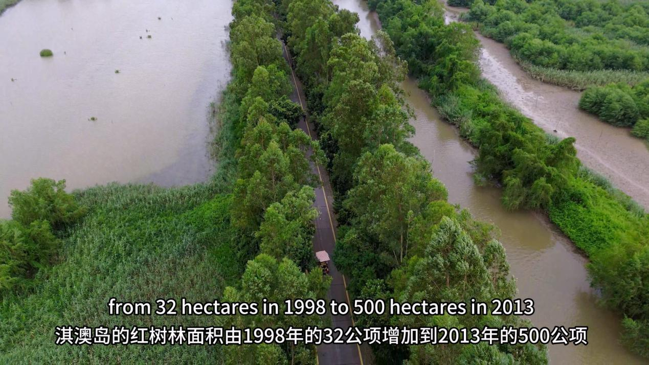 1733383153251041085.png 百家乐玩法介绍 - 百家乐技巧