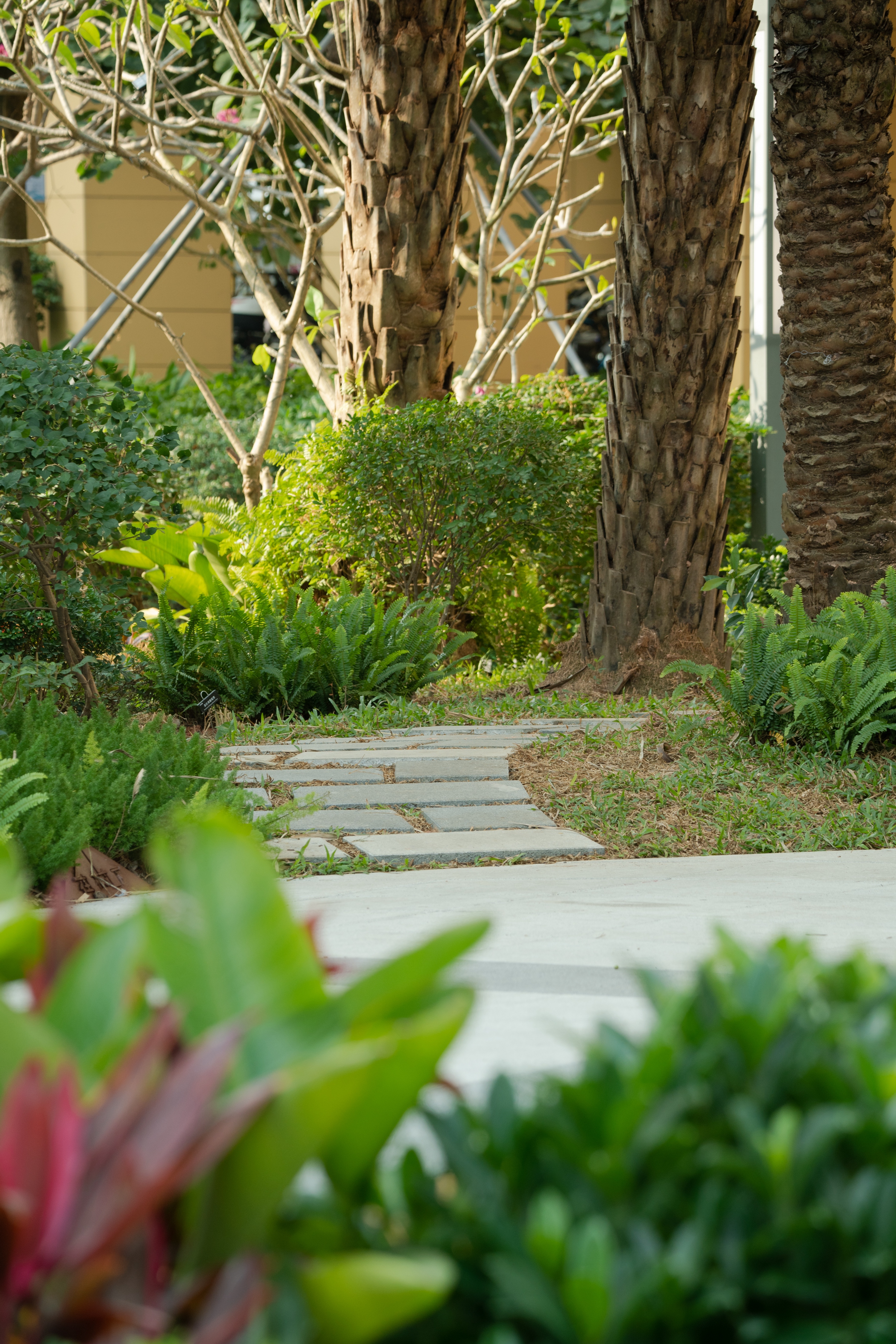 百家乐玩法介绍 - 百家乐技巧