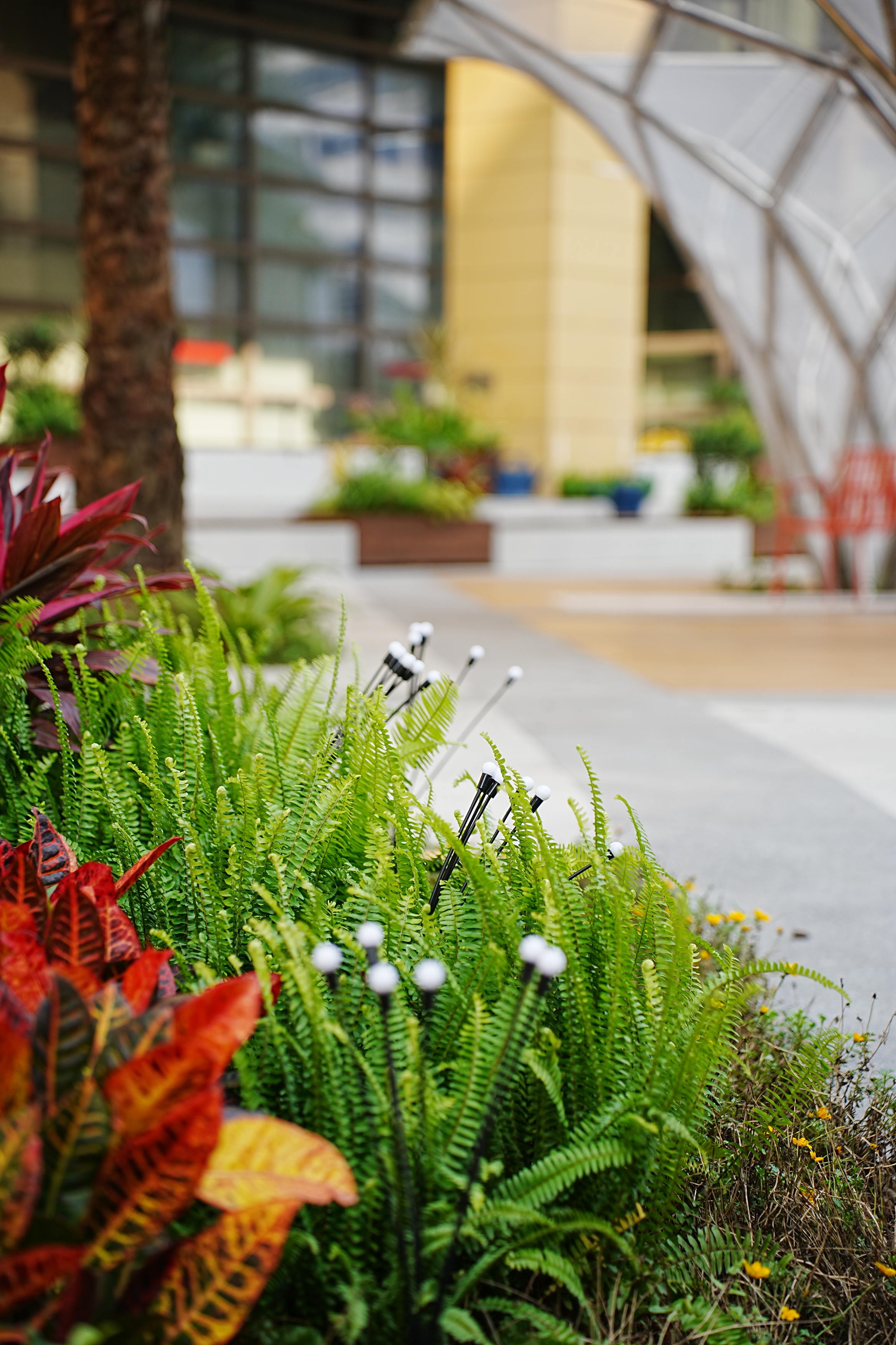 百家乐玩法介绍 - 百家乐技巧