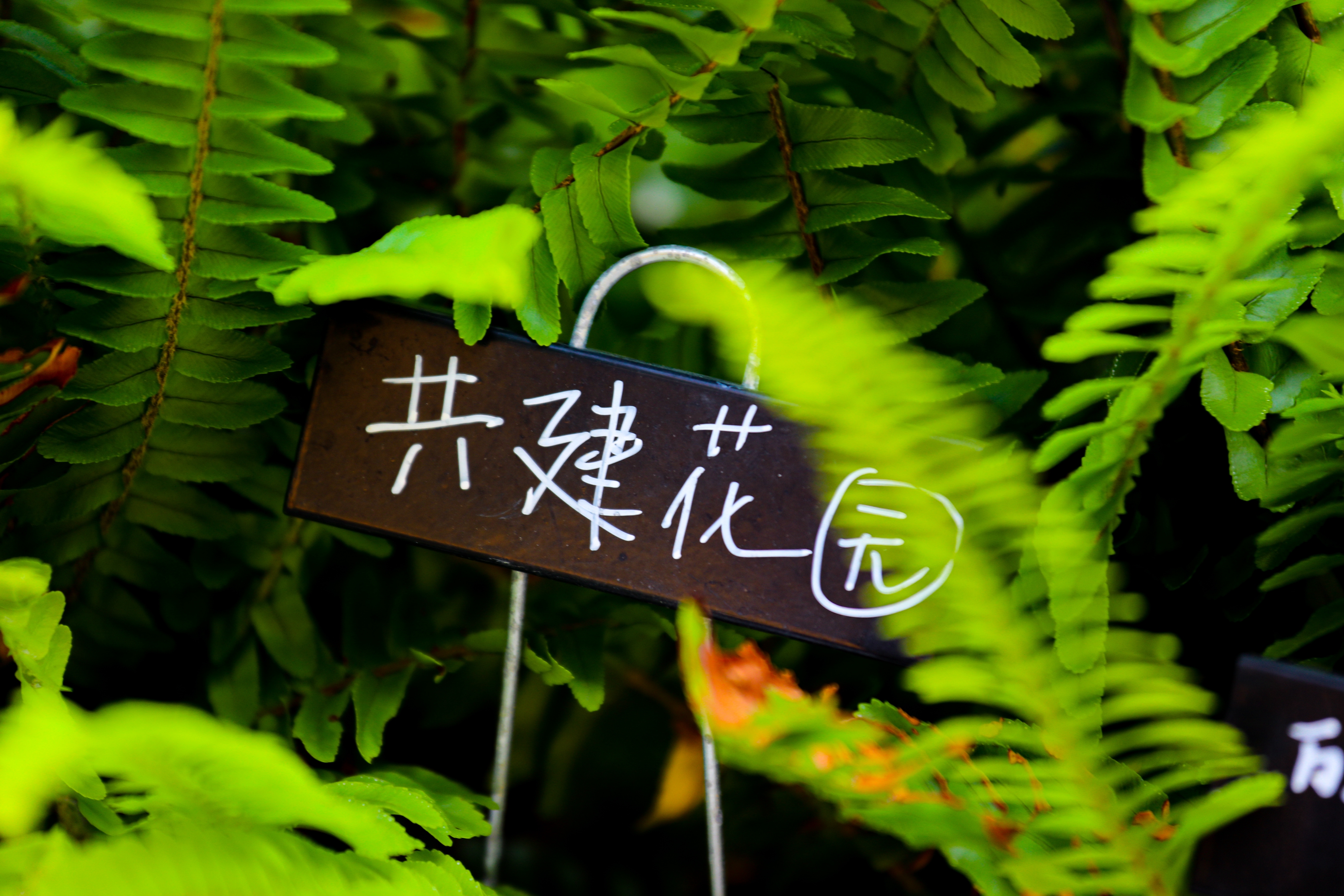 百家乐玩法介绍 - 百家乐技巧