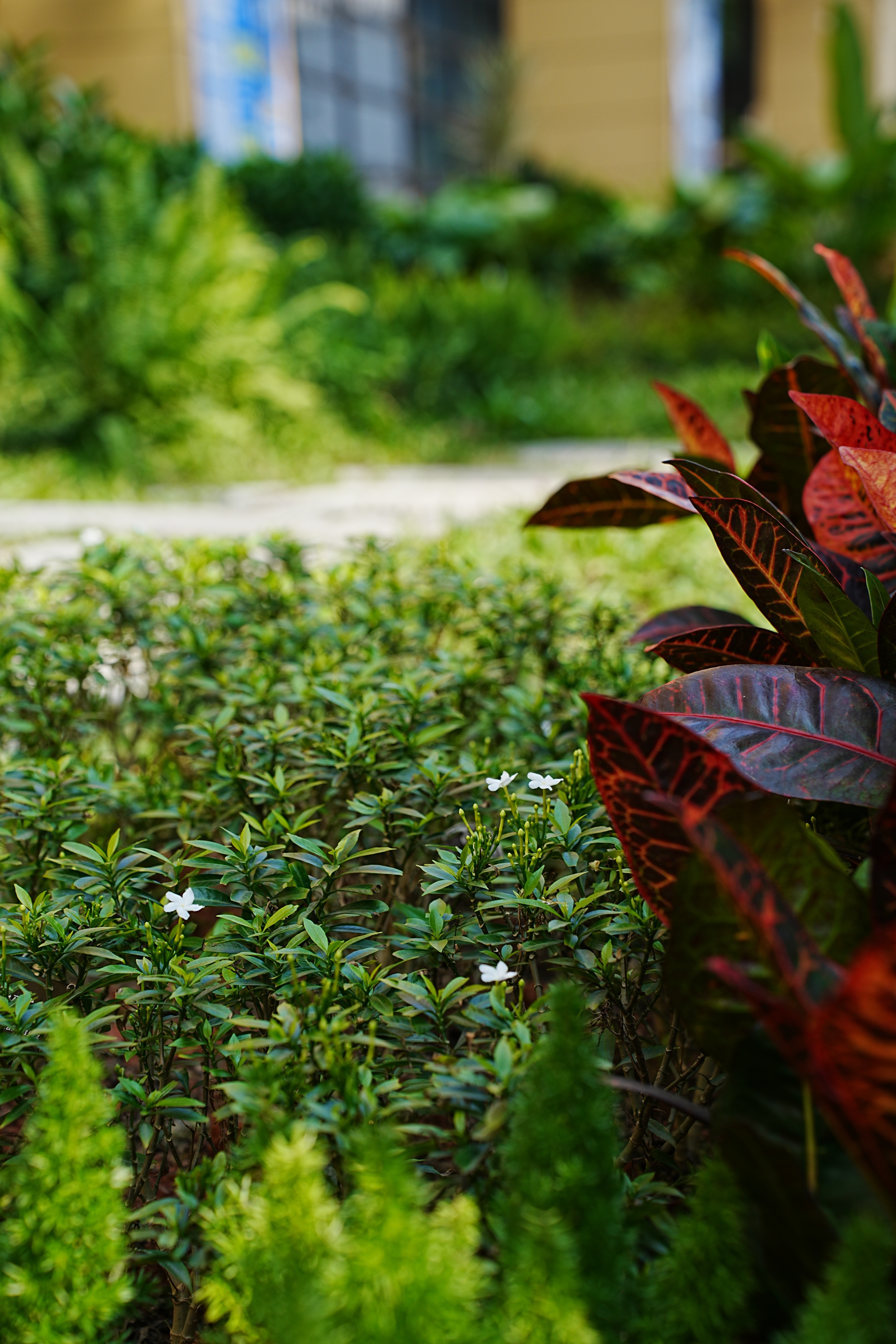 百家乐玩法介绍 - 百家乐技巧