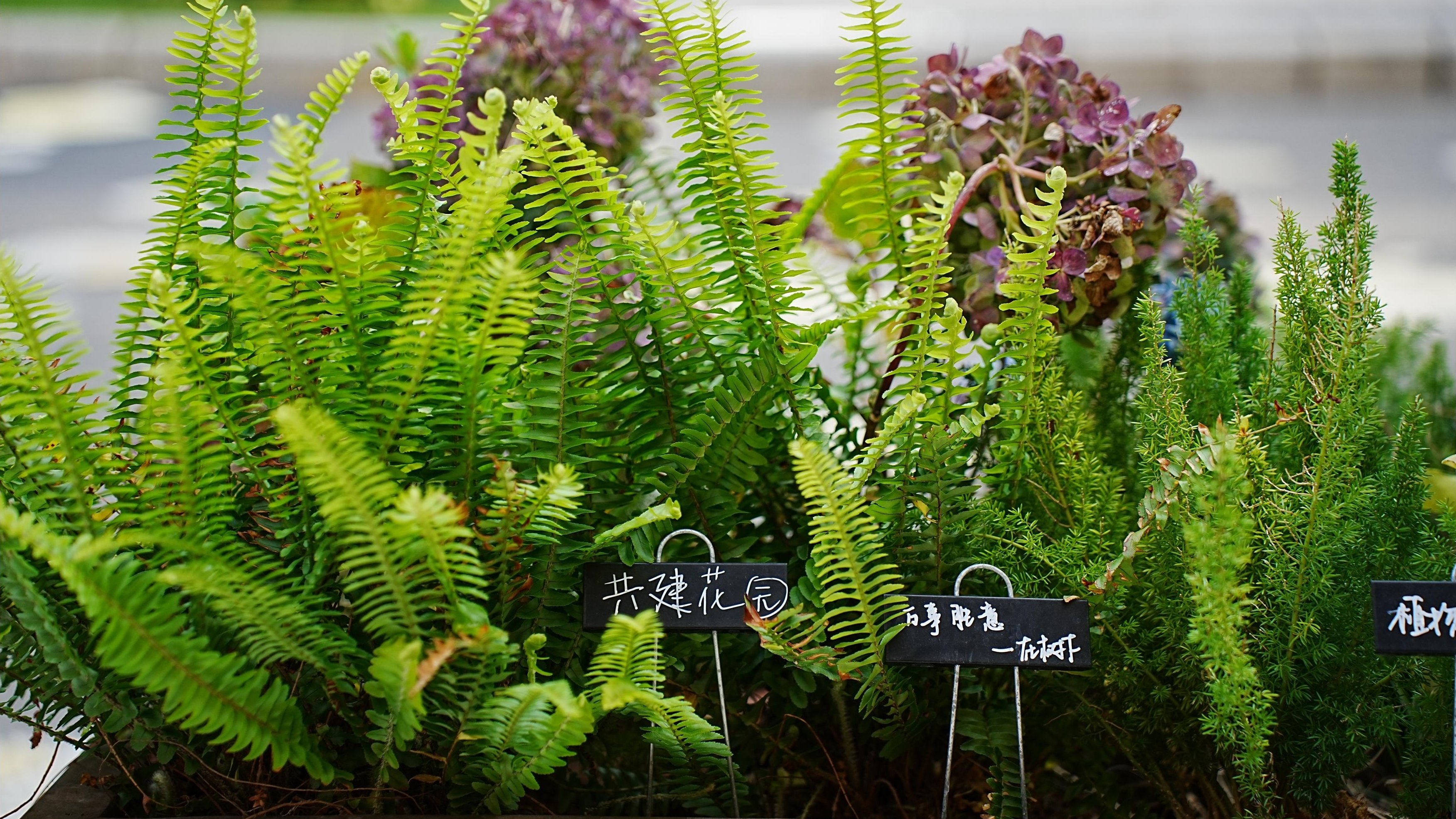 百家乐玩法介绍 - 百家乐技巧