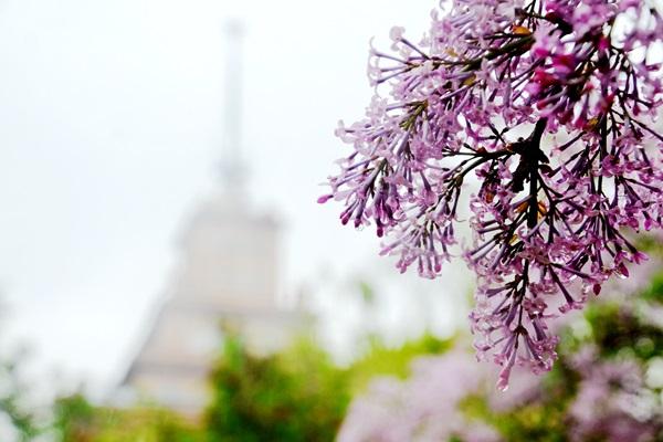 1527746867700029045.jpg 百家乐玩法介绍 - 百家乐技巧