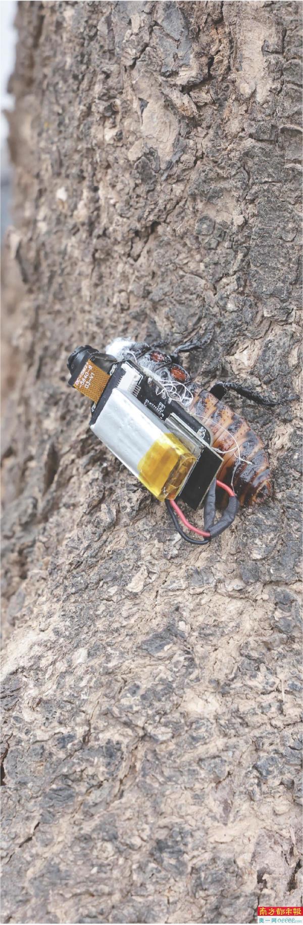 百家乐玩法介绍 - 百家乐技巧