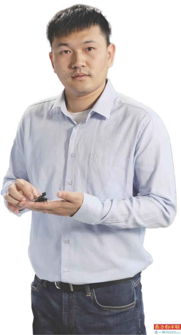 百家乐玩法介绍 - 百家乐技巧