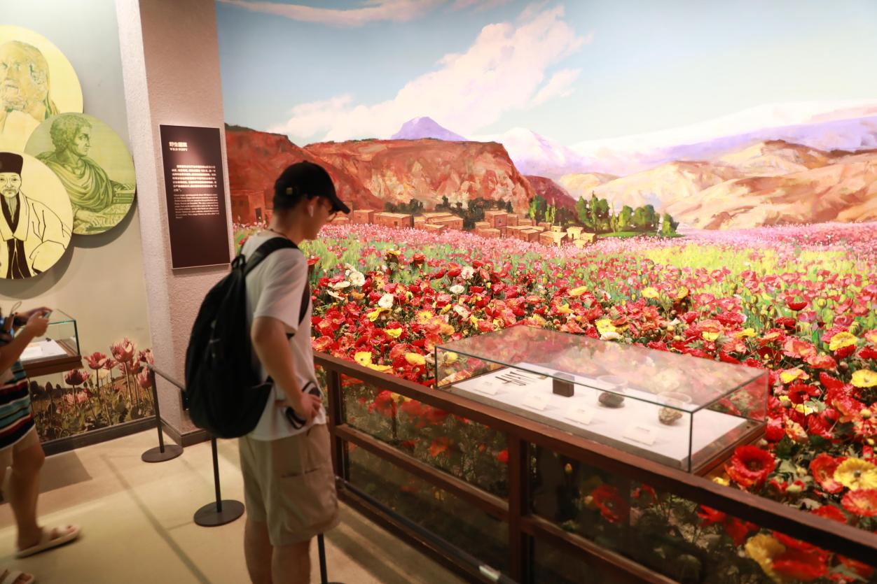 百家乐玩法介绍 - 百家乐技巧