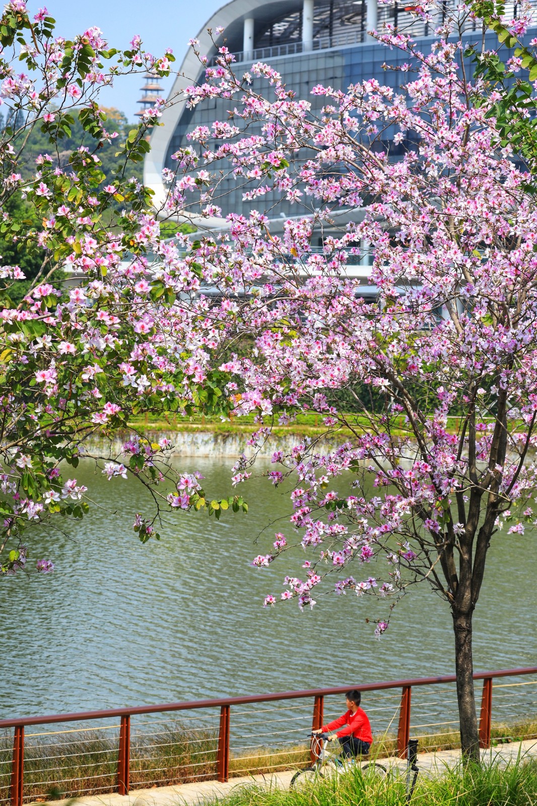 百家乐玩法介绍 - 百家乐技巧
