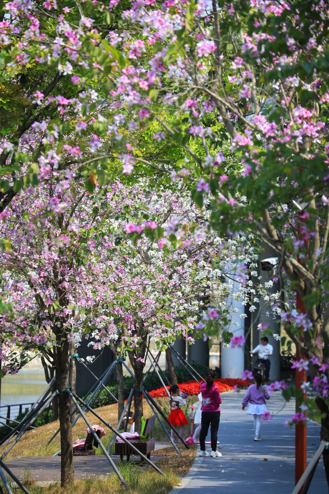 百家乐玩法介绍 - 百家乐技巧