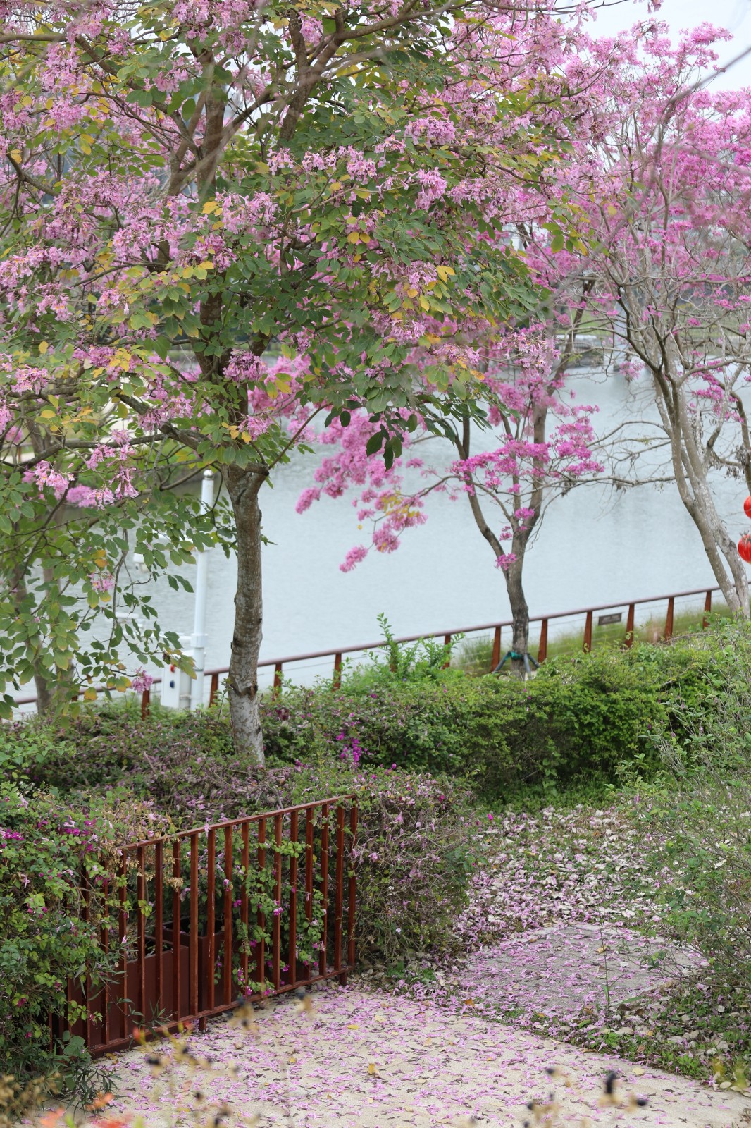 百家乐玩法介绍 - 百家乐技巧