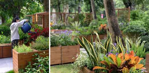 百家乐玩法介绍 - 百家乐技巧