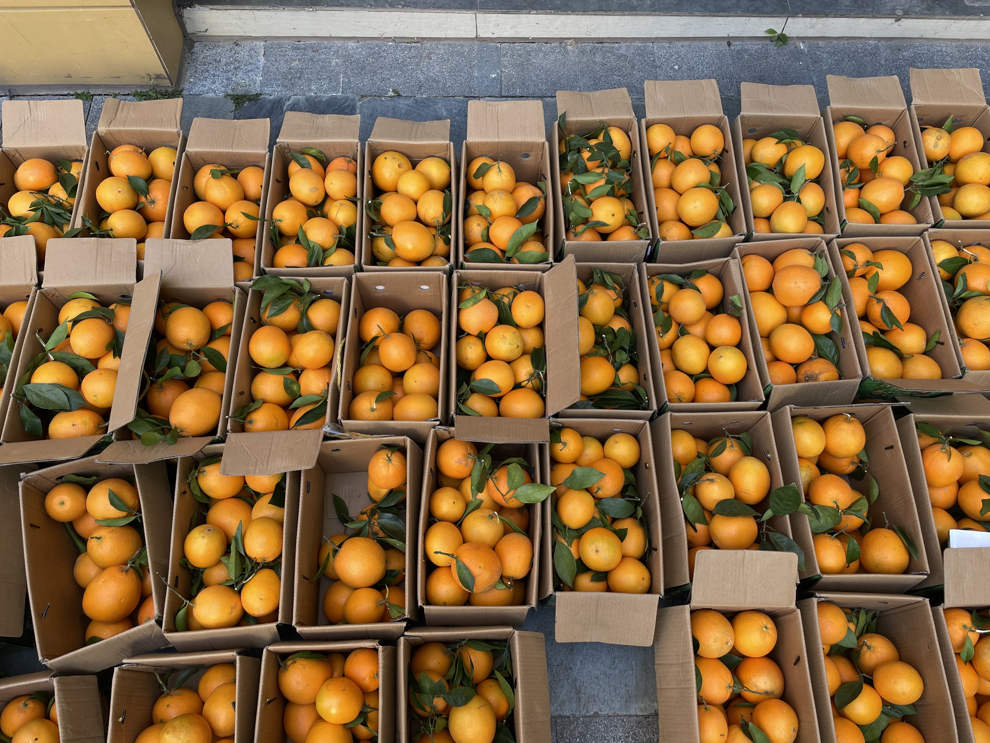 百家乐玩法介绍 - 百家乐技巧