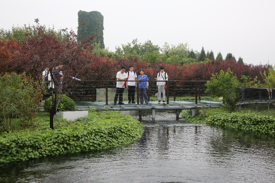 百家乐玩法介绍 - 百家乐技巧