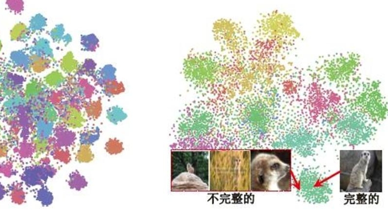 百家乐玩法介绍 - 百家乐技巧