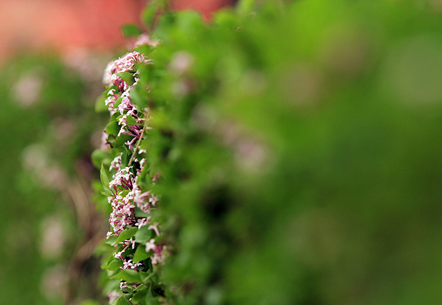百家乐玩法介绍 - 百家乐技巧