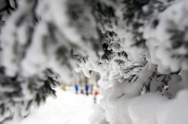 百家乐玩法介绍 - 百家乐技巧