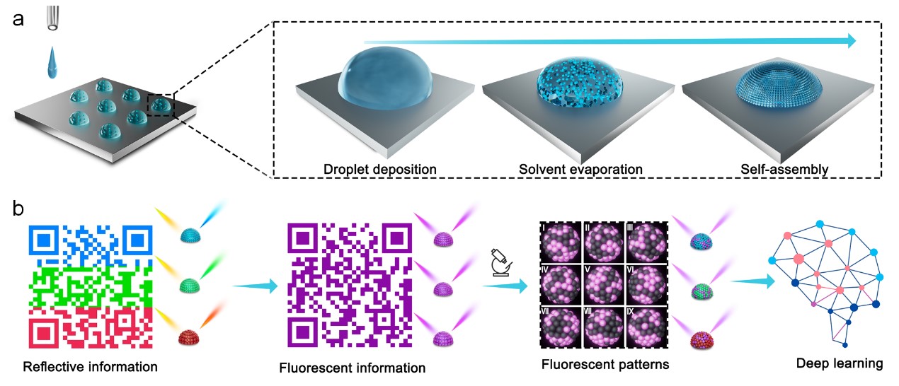 百家乐玩法介绍 - 百家乐技巧