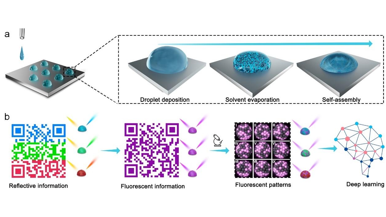 百家乐玩法介绍 - 百家乐技巧