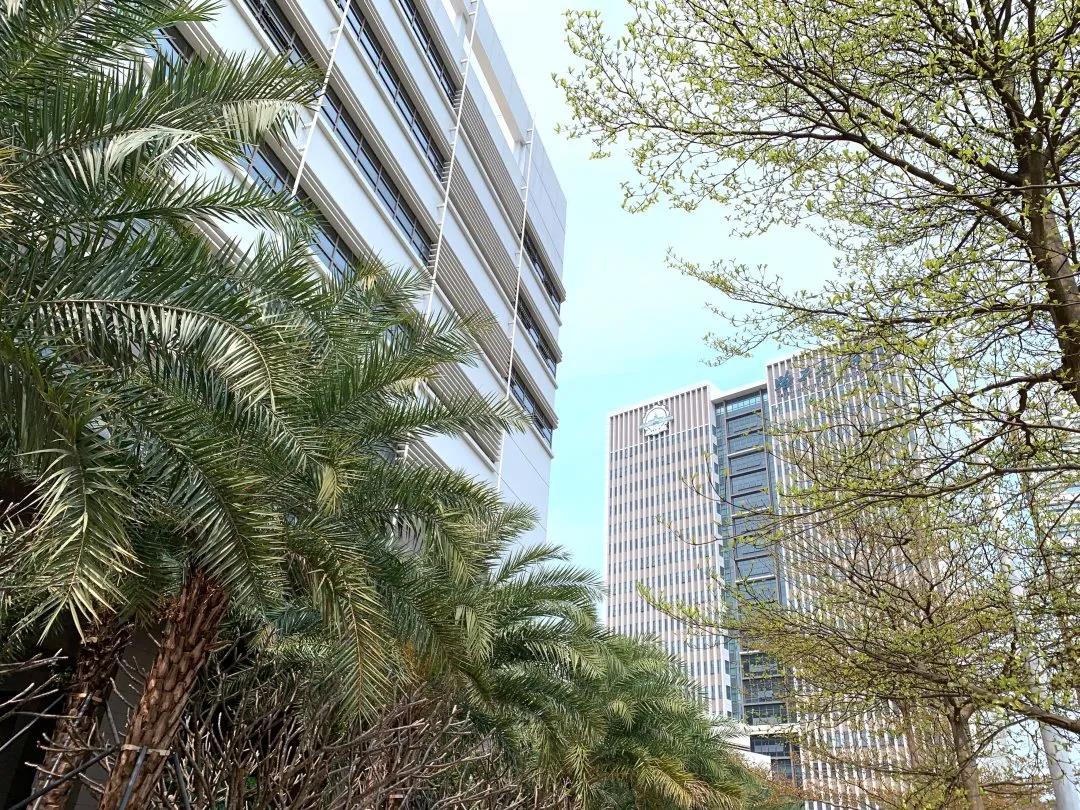 百家乐玩法介绍 - 百家乐技巧