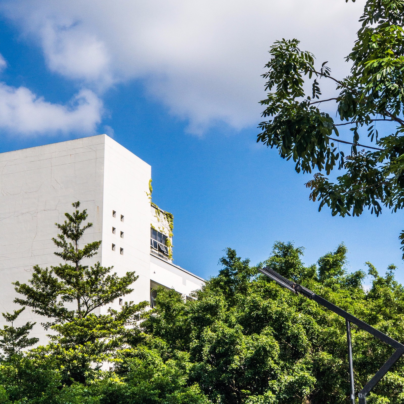 百家乐玩法介绍 - 百家乐技巧