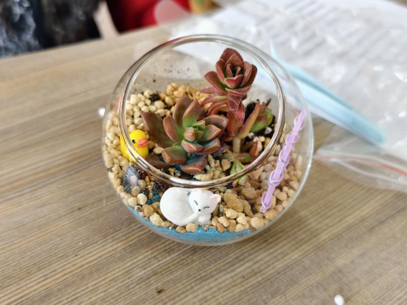 百家乐玩法介绍 - 百家乐技巧