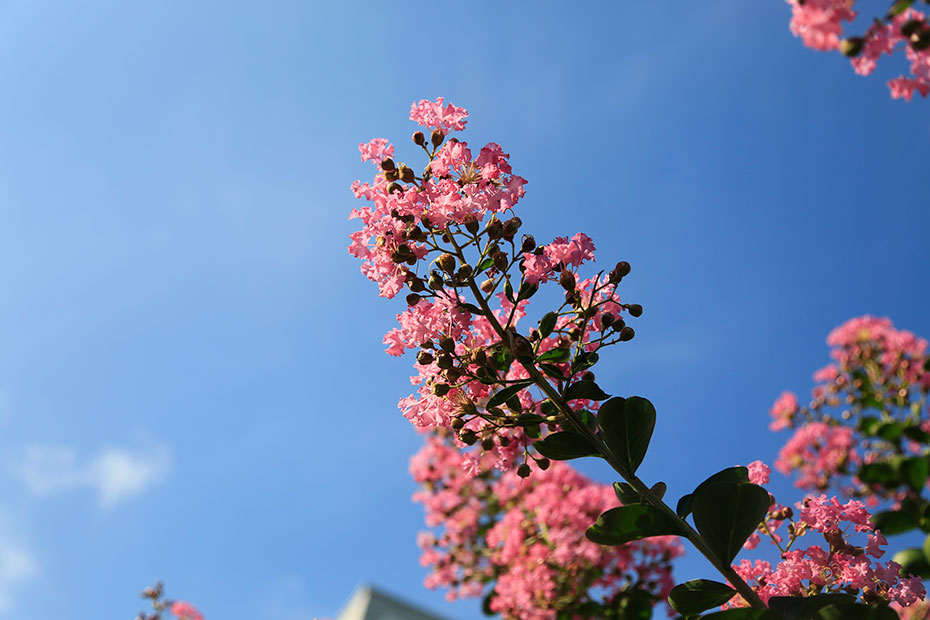 百家乐玩法介绍 - 百家乐技巧