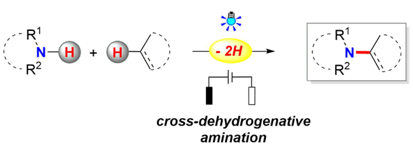 1525425148165073780.png 百家乐玩法介绍 - 百家乐技巧