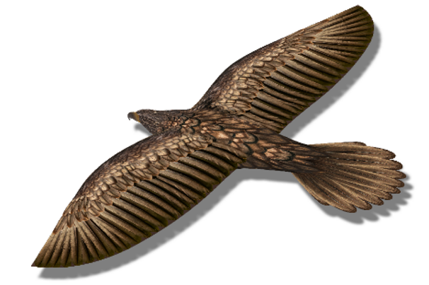 百家乐玩法介绍 - 百家乐技巧