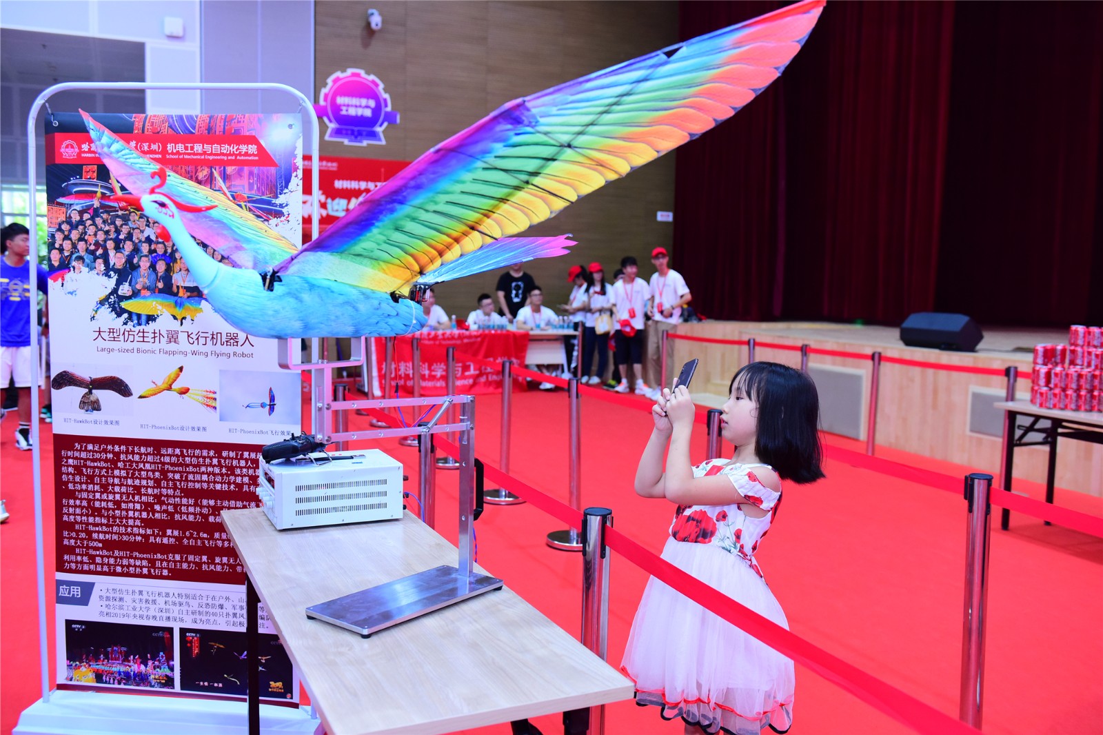 百家乐玩法介绍 - 百家乐技巧