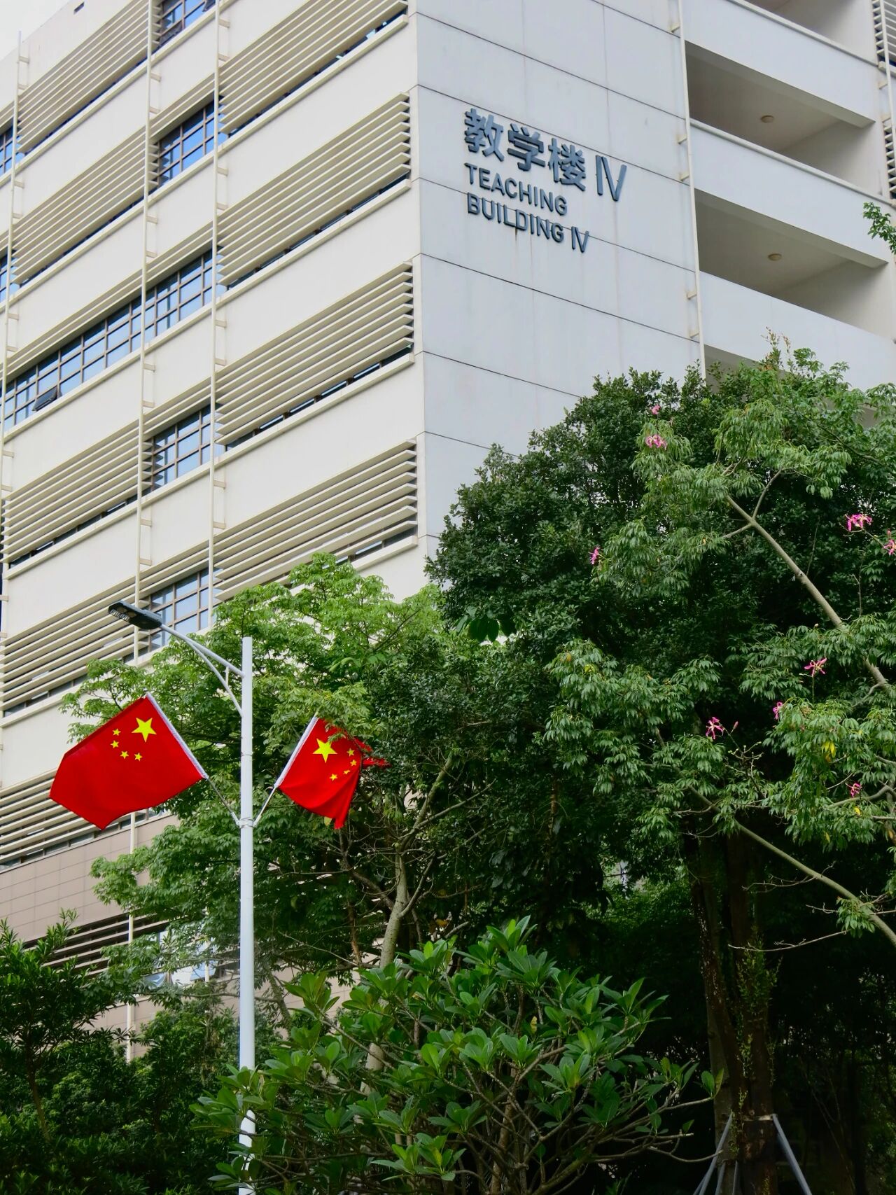 1759246951882029714.jpg 百家乐玩法介绍 - 百家乐技巧