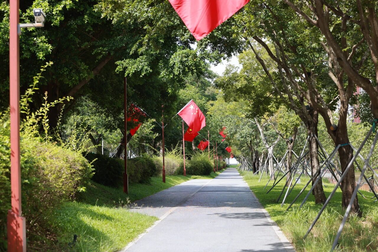 1759247323389013931.jpg 百家乐玩法介绍 - 百家乐技巧