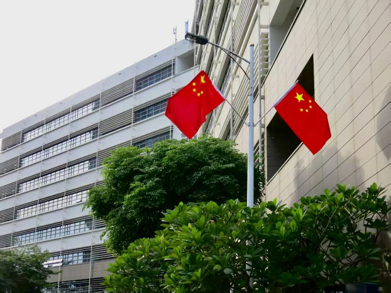 1759247266711063043.jpg 百家乐玩法介绍 - 百家乐技巧