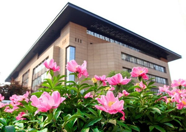 百家乐玩法介绍 - 百家乐技巧