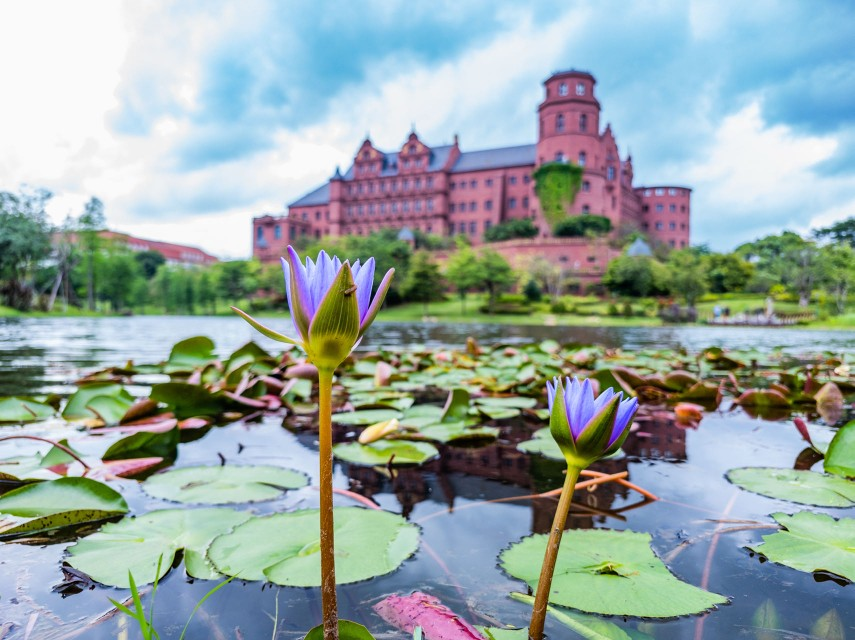 百家乐玩法介绍 - 百家乐技巧