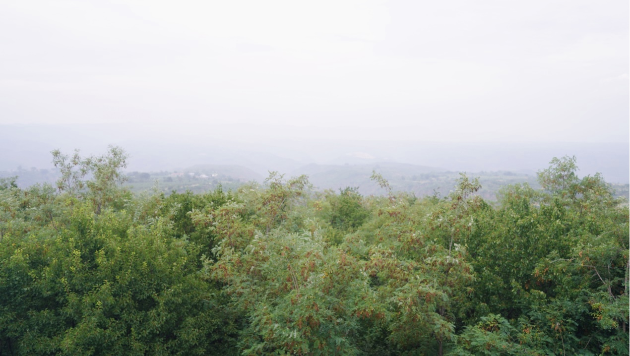 百家乐玩法介绍 - 百家乐技巧