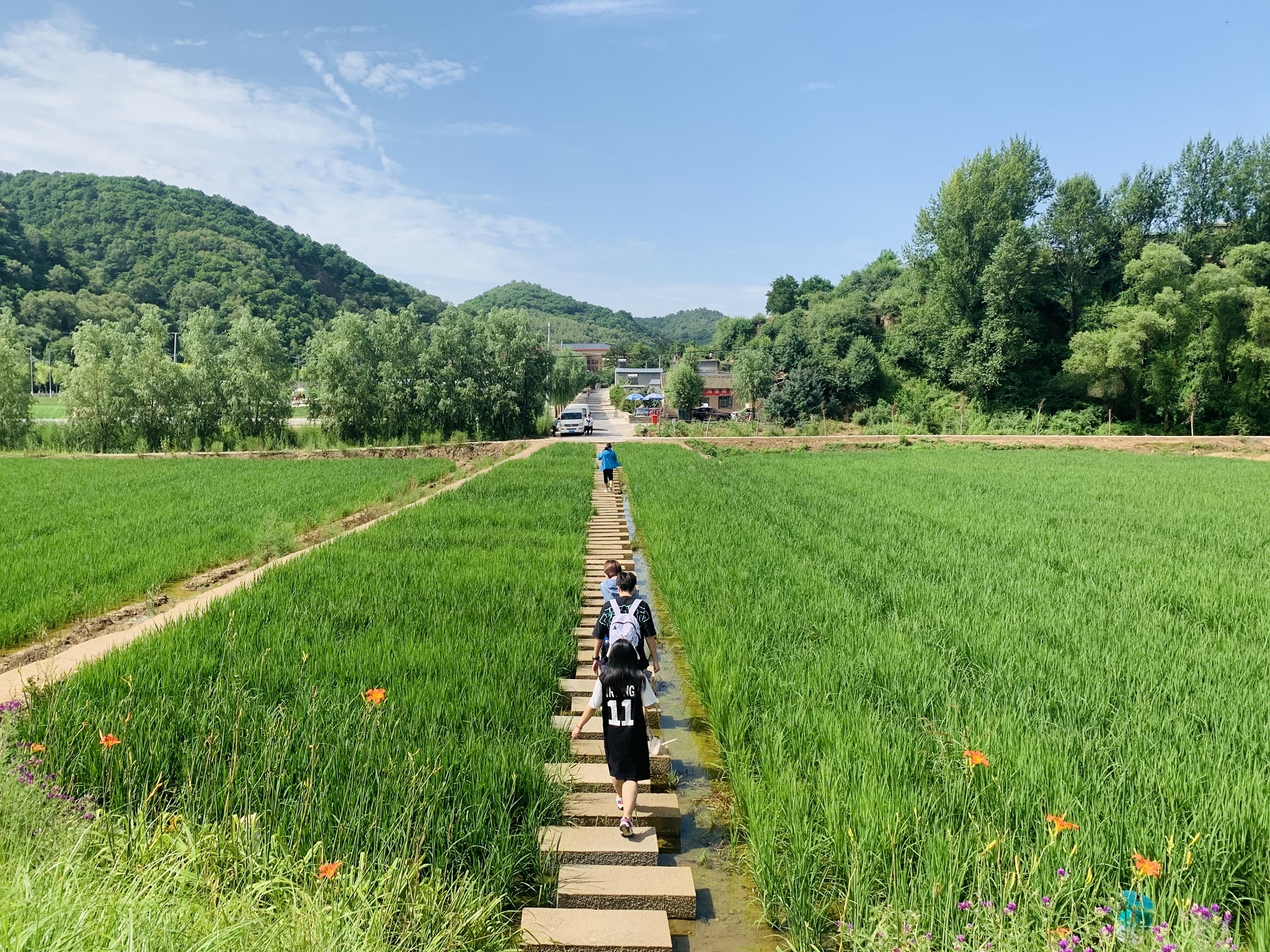 百家乐玩法介绍 - 百家乐技巧