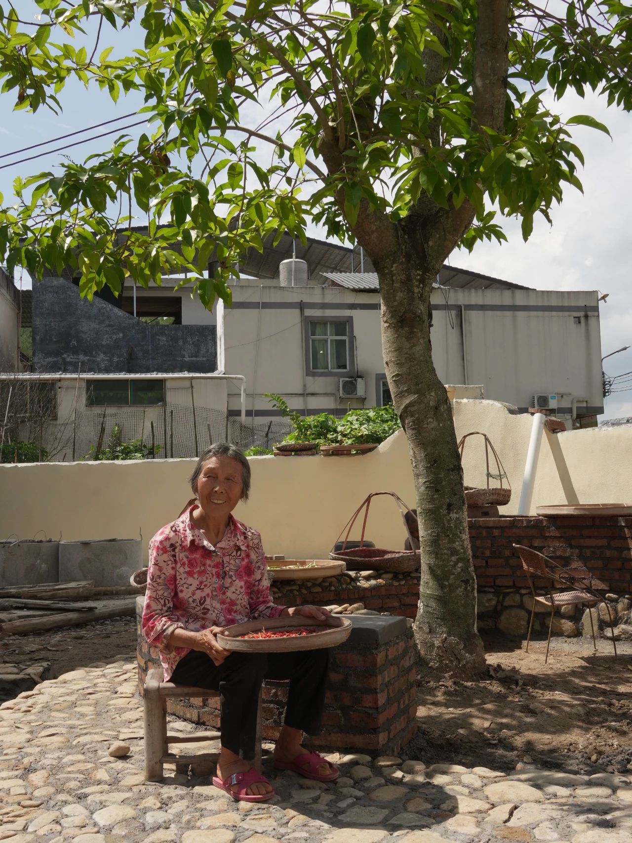 百家乐玩法介绍 - 百家乐技巧