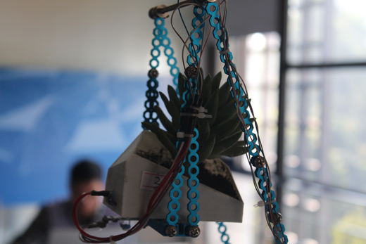 百家乐玩法介绍 - 百家乐技巧