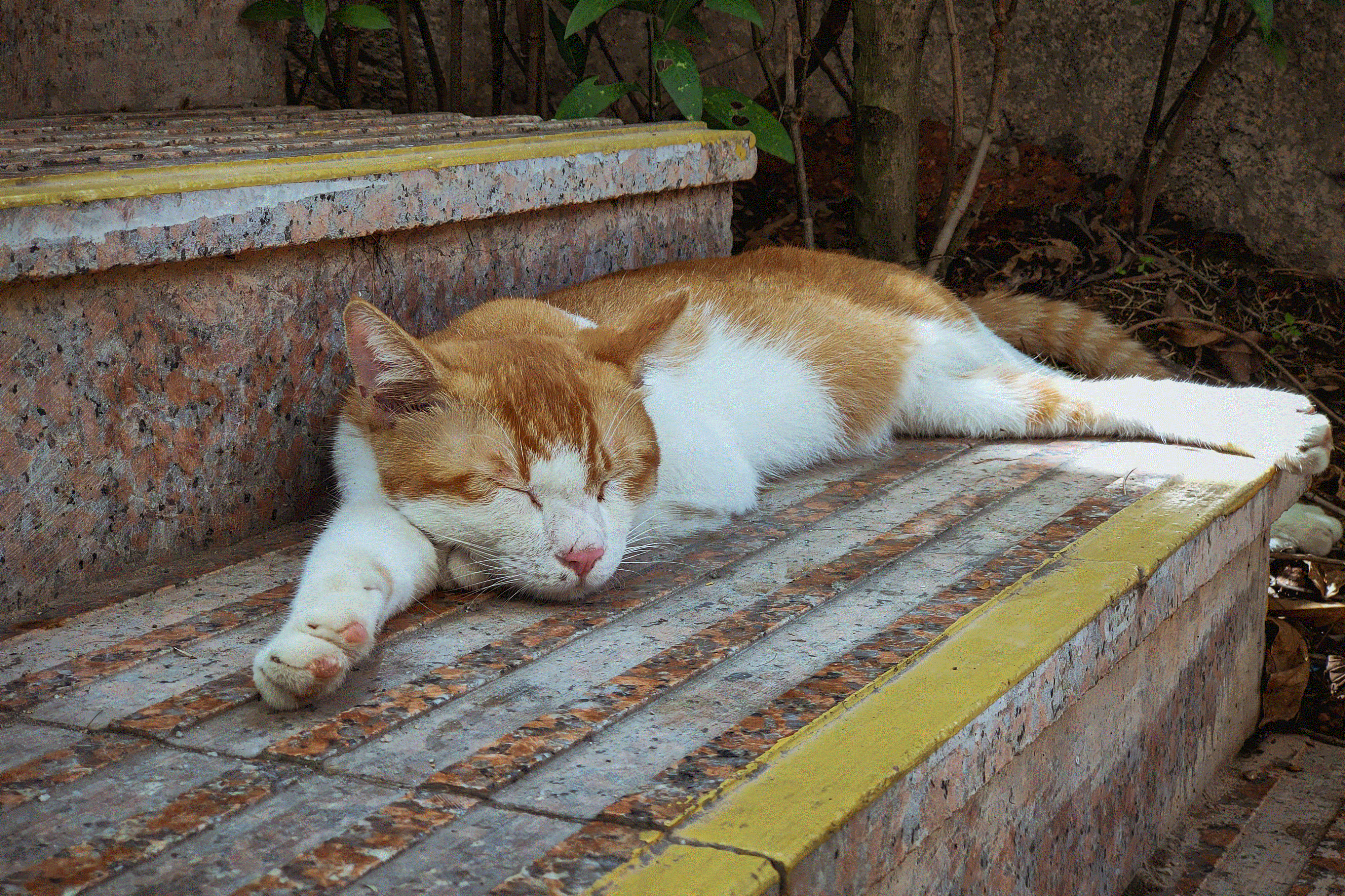 百家乐玩法介绍 - 百家乐技巧