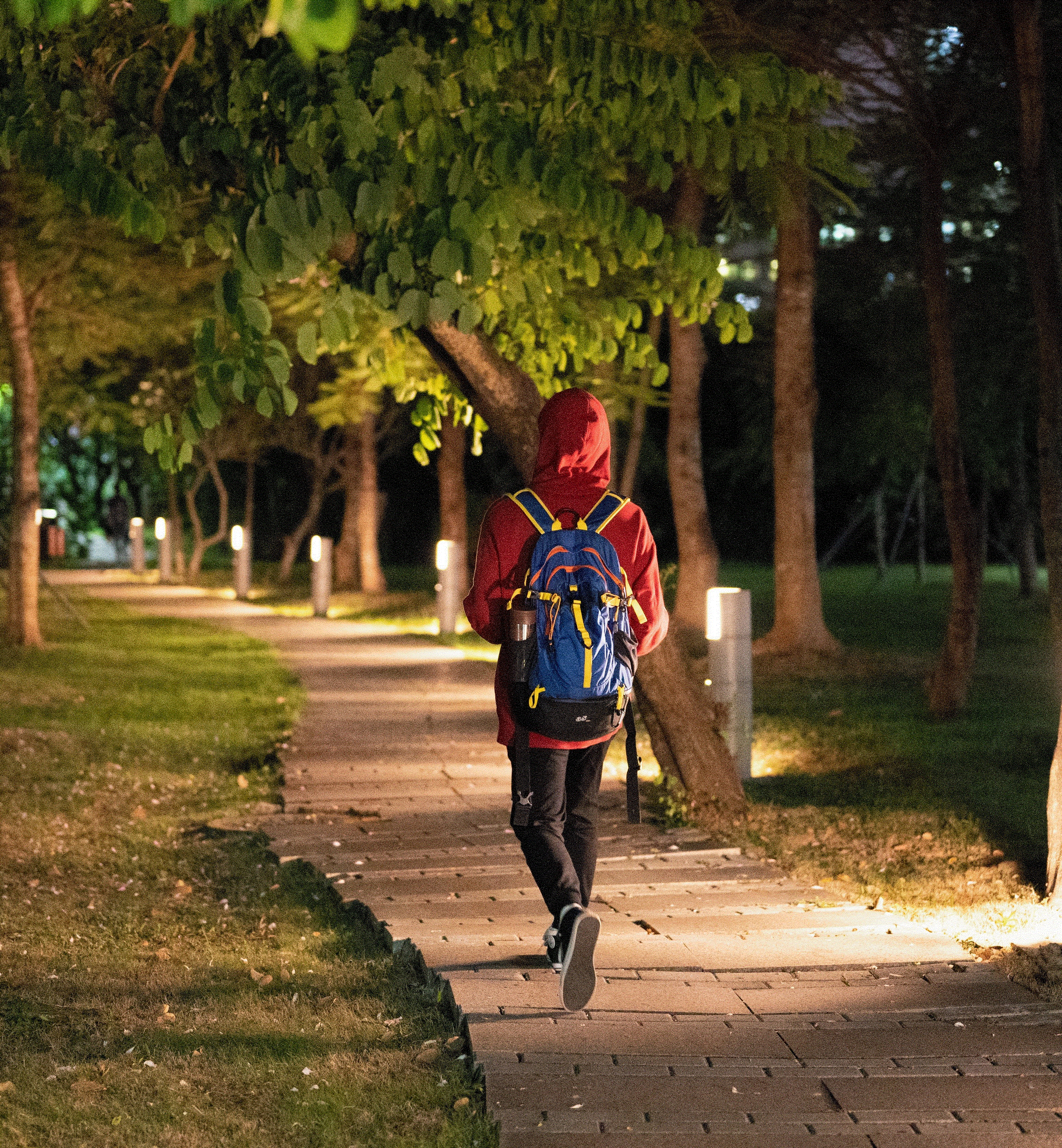 百家乐玩法介绍 - 百家乐技巧