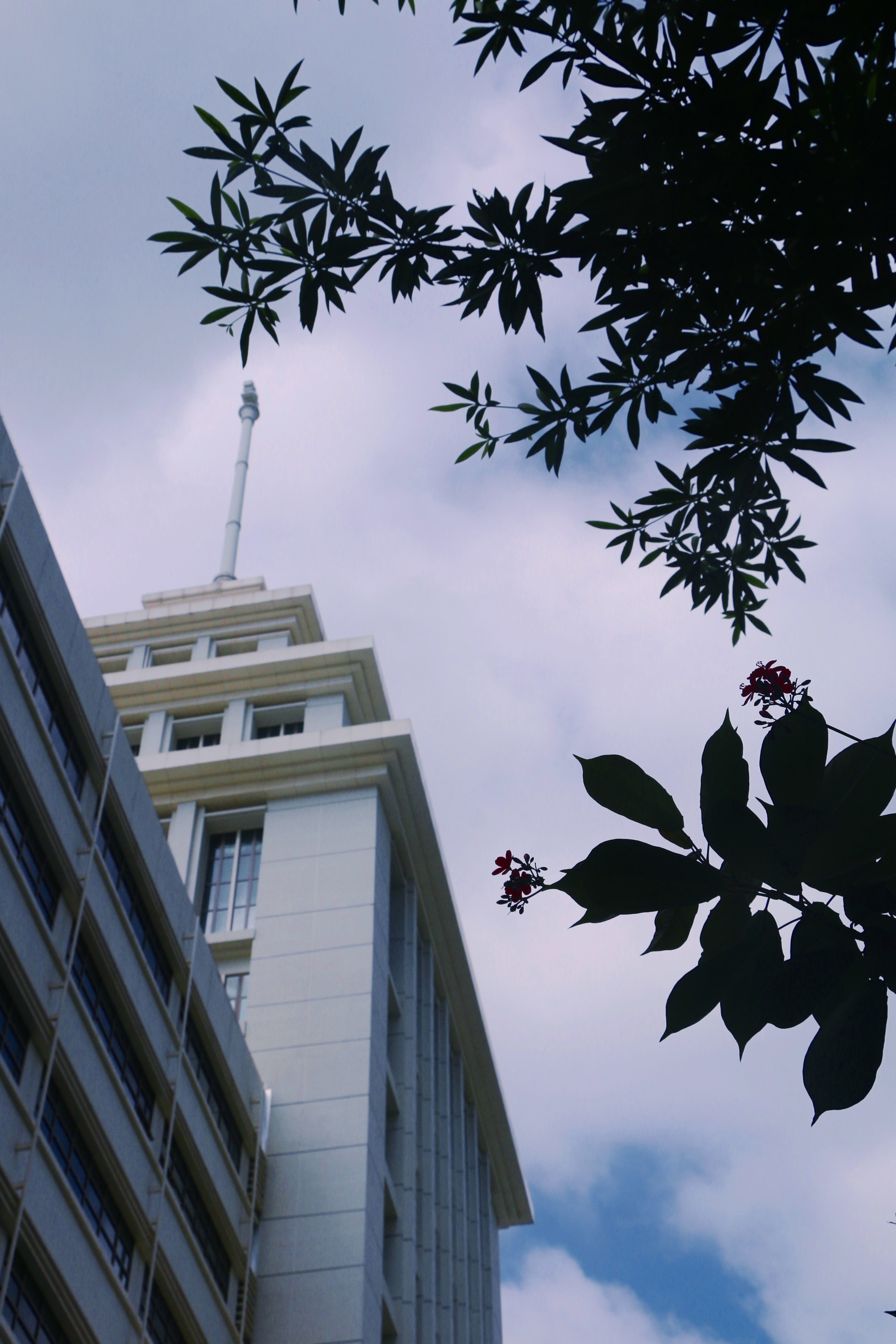 百家乐玩法介绍 - 百家乐技巧